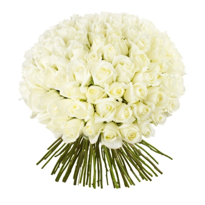 Роскошный букет из 101 белой розы – воплощение бесконечной любви Знаменск Астраханская область