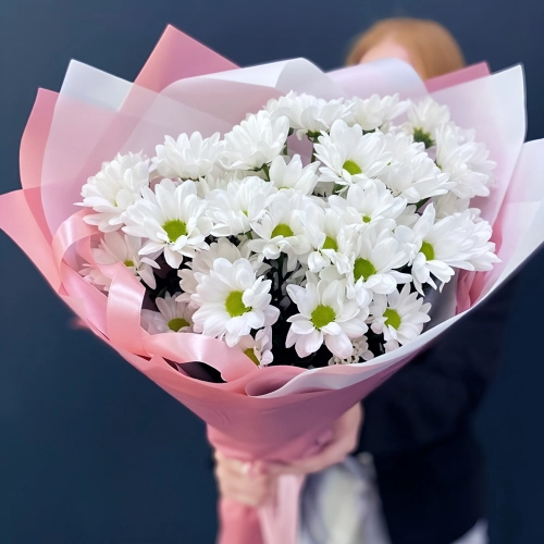 Букет «Розовое счастье» – нежность белых хризантем Знаменск Астраханская область