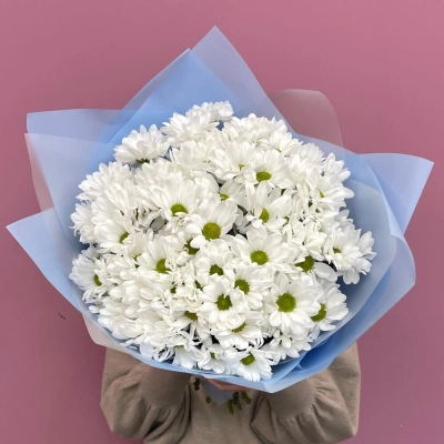Букет «Ромашковое поле» – свежесть белых хризантем Знаменск Астраханская область