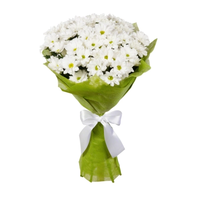 Пышный букет из хризантем – элегантность в каждом лепестке Знаменск Астраханская область