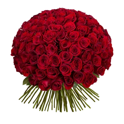 Букет из 101 красной розы – символ бесконечной страсти Знаменск Астраханская область