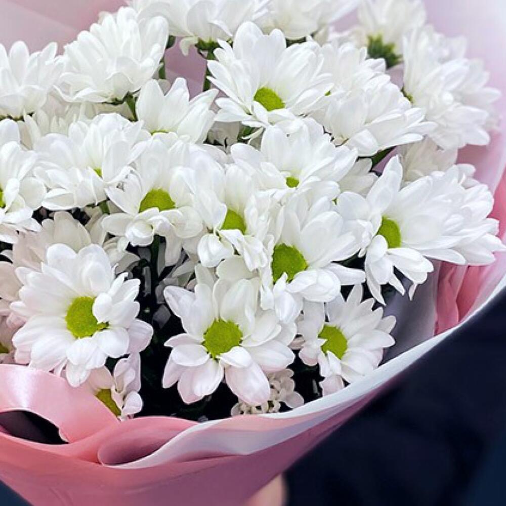 Букет «Розовое счастье» – нежность белых хризантем Знаменск Астраханская область